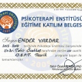 Resmi büyüt: certificate 5