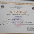 Resmi büyüt: certificate 6