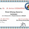 Resmi büyüt: certificate 49
