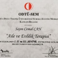 Resmi büyüt: certificate 2