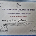 Resmi büyüt: certificate 5