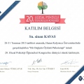 Resmi büyüt: certificate 13
