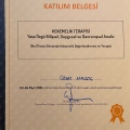 Resmi büyüt: certificate 10