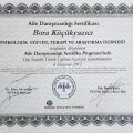Resmi büyüt: certificate 3