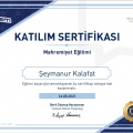 Resmi büyüt: certificate 31