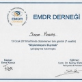 Resmi büyüt: certificate 9
