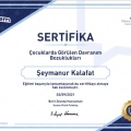Resmi büyüt: certificate 19