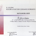 Resmi büyüt: certificate 18