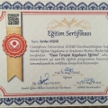Resmi büyüt: certificate 11