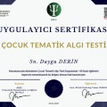 Resmi büyüt: certificate 30
