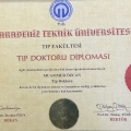 Resmi büyüt: certificate 2