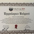 Resmi büyüt: certificate 5