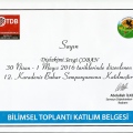 Resmi büyüt: certificate 13