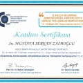 Resmi büyüt: certificate 9