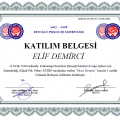 Resmi büyüt: certificate 23