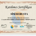 Resmi büyüt: certificate 7