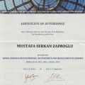 Resmi büyüt: certificate 3