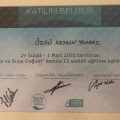 Resmi büyüt: certificate 1