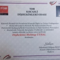 Resmi büyüt: certificate 2