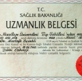 Resmi büyüt: certificate 6