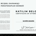 Resmi büyüt: certificate 15