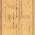 Resmi büyüt: certificate 9