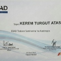 Resmi büyüt: certificate 3