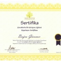 Resmi büyüt: certificate 7