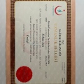 Resmi büyüt: certificate 2