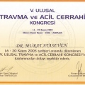 Resmi büyüt: certificate 10