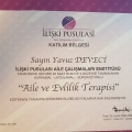 Resmi büyüt: certificate 1