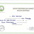 Resmi büyüt: certificate 14