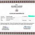 Resmi büyüt: certificate 13