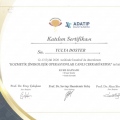 Resmi büyüt: certificate 2