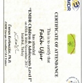 Resmi büyüt: certificate 5