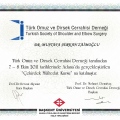 Resmi büyüt: certificate 31