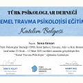 Resmi büyüt: certificate 4
