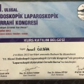 Resmi büyüt: certificate 7