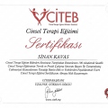 Resmi büyüt: certificate 3