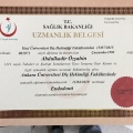 Resmi büyüt: certificate 1