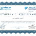 Resmi büyüt: certificate 8