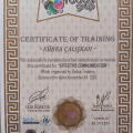 Resmi büyüt: certificate 6