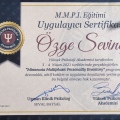 Resmi büyüt: certificate 1