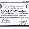 Resmi büyüt: certificate 16