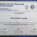 Resmi büyüt: certificate 4