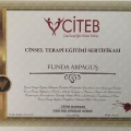 Resmi büyüt: certificate 6