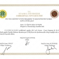 Resmi büyüt: certificate 1