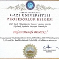 Resmi büyüt: certificate 8