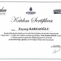 Resmi büyüt: certificate 27