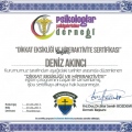 Resmi büyüt: certificate 7